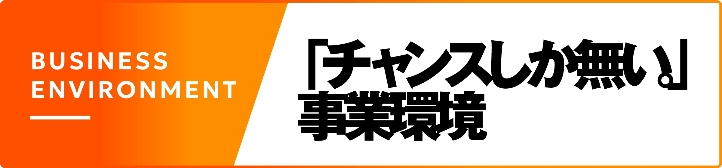BUSINESS ENVIRONMENT 「チャンスしか無い。」事業環境